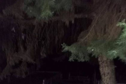 yalovada-is-adami-mezarlikta-olu-bulundu