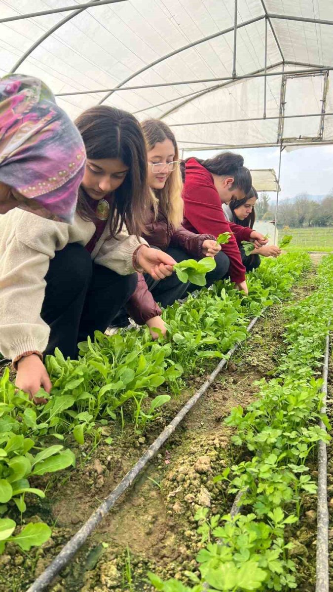 zonguldakta-tarim-lisesi-ogrencileri-uygulamali-egitimde-hasat-yapti