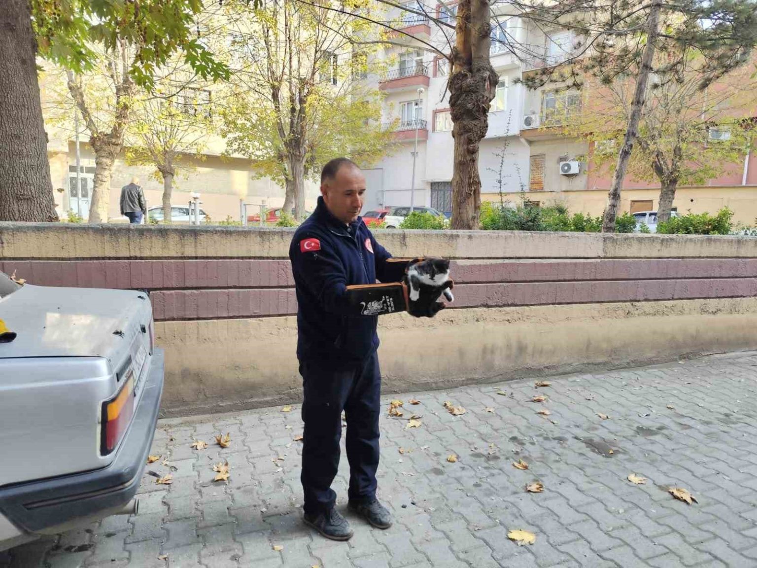 agacta-mahsur-kalan-kedi-itfaiyeyi-seferber-etti