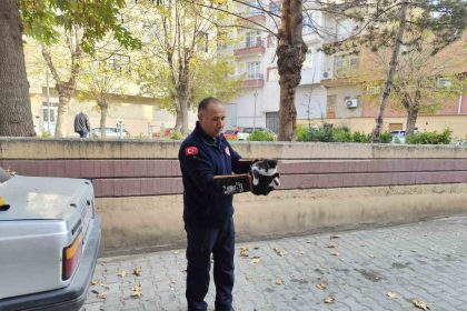 agacta-mahsur-kalan-kedi-itfaiyeyi-seferber-etti