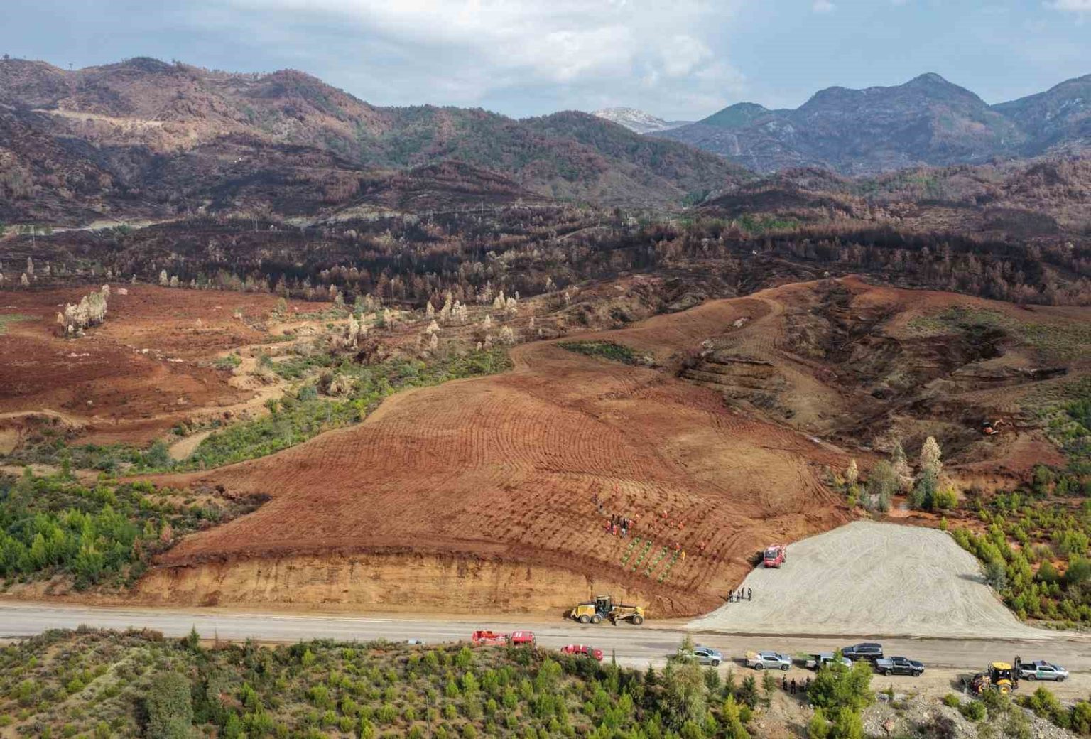 aydinda-17-lokasyonda-fidan-dikilecek