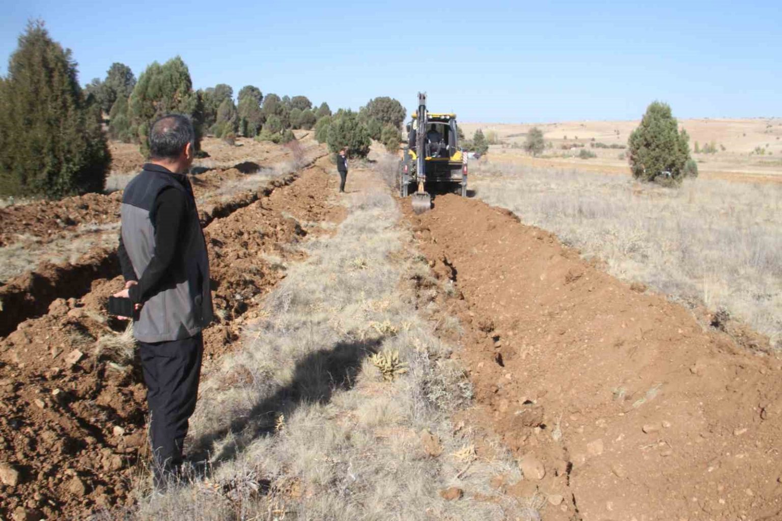 beysehirde-11-bin-orman-fidani-daha-toprakla-bulusturulacak