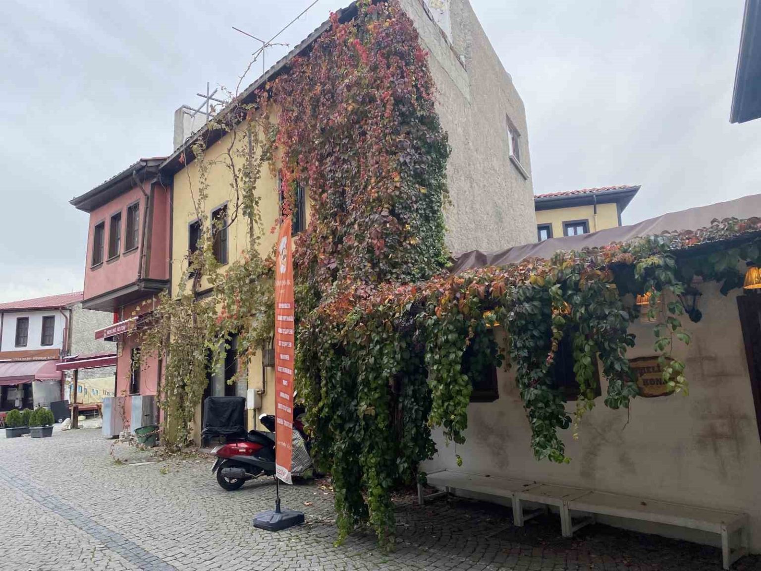 bitkiler-ile-kaplanan-tarihi-yapi-kartpostallik-manzara-olusturuyor