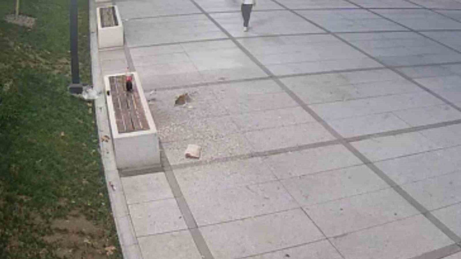 cekirdek-keyfi-pahaliya-patladi