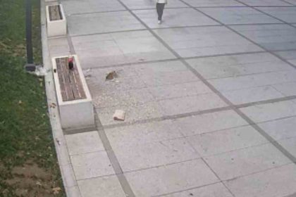 cekirdek-keyfi-pahaliya-patladi