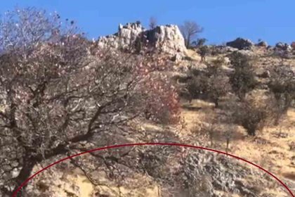 diyarbakirda-dag-kecileri-suru-halinde-goruntulendi