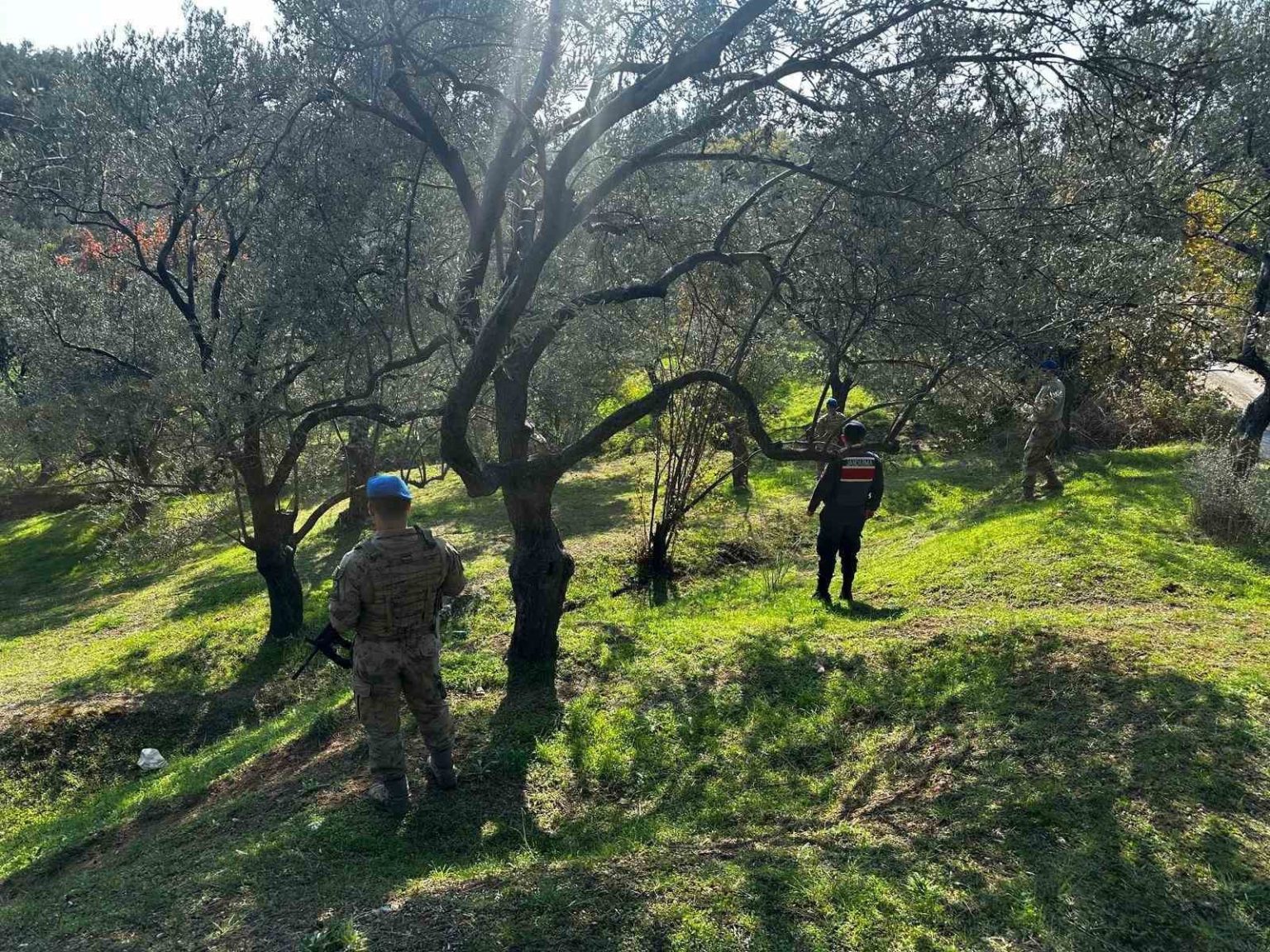 edremitte-zeytin-hirsizligina-karsi-komandolar-sahada