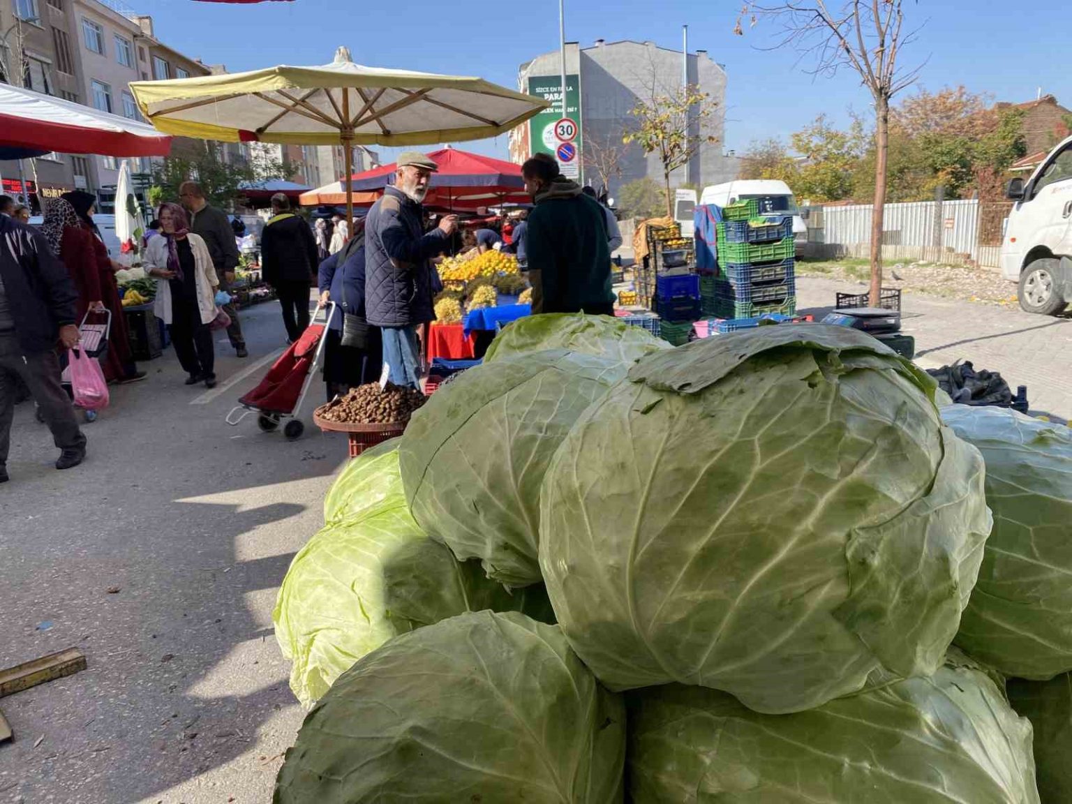 eskisehir-pazarinda-devasa-lahanalar