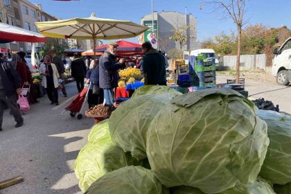 eskisehir-pazarinda-devasa-lahanalar