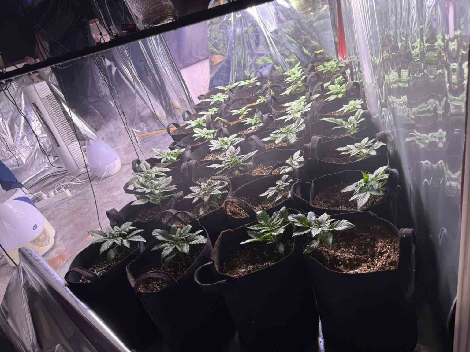 izmirde-uyusturucu-operasyonunda-1-tutuklama