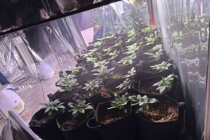 izmirde-uyusturucu-operasyonunda-1-tutuklama