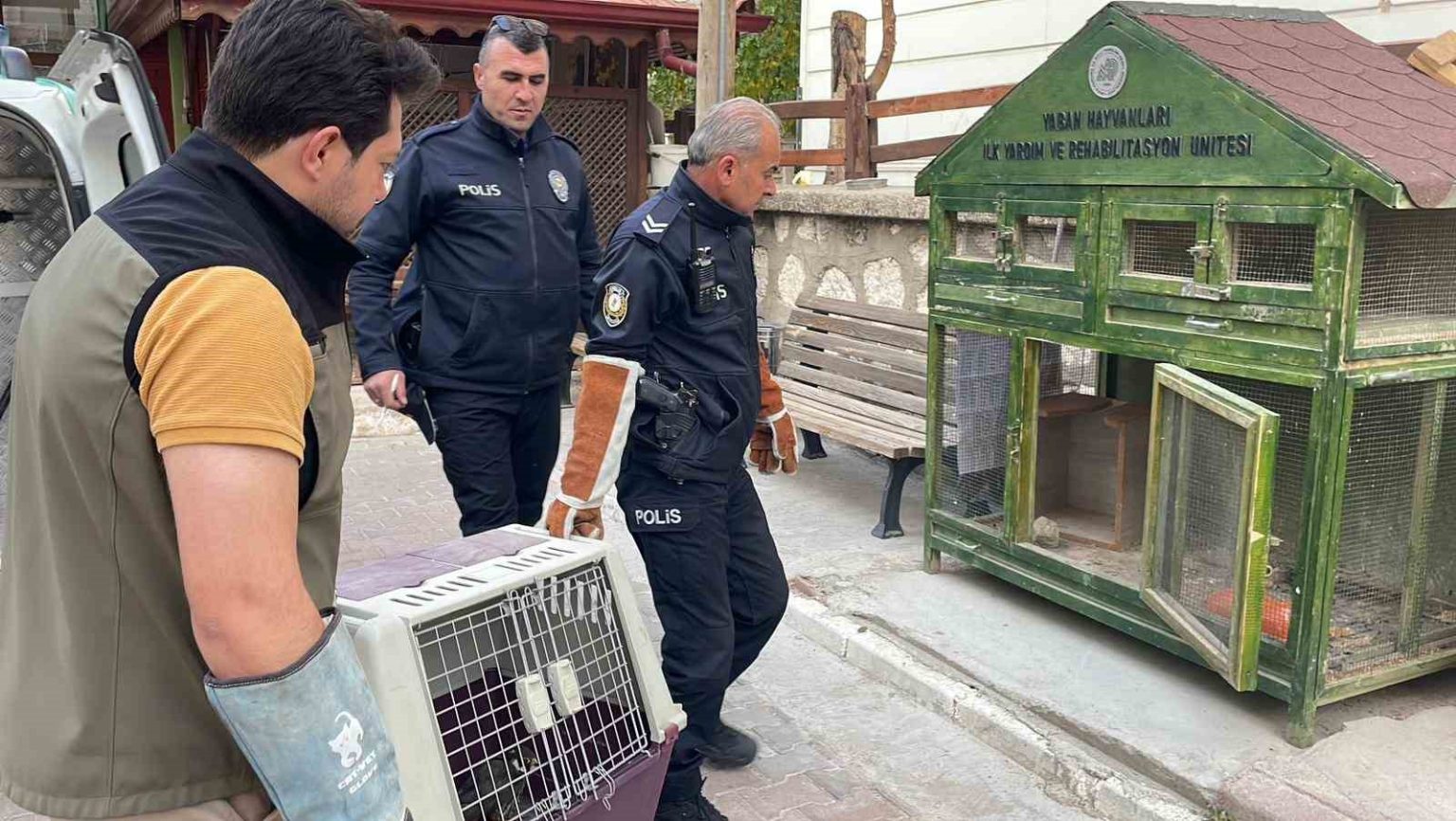 karamanda-yarali-dogan-koruma-altina-alindi