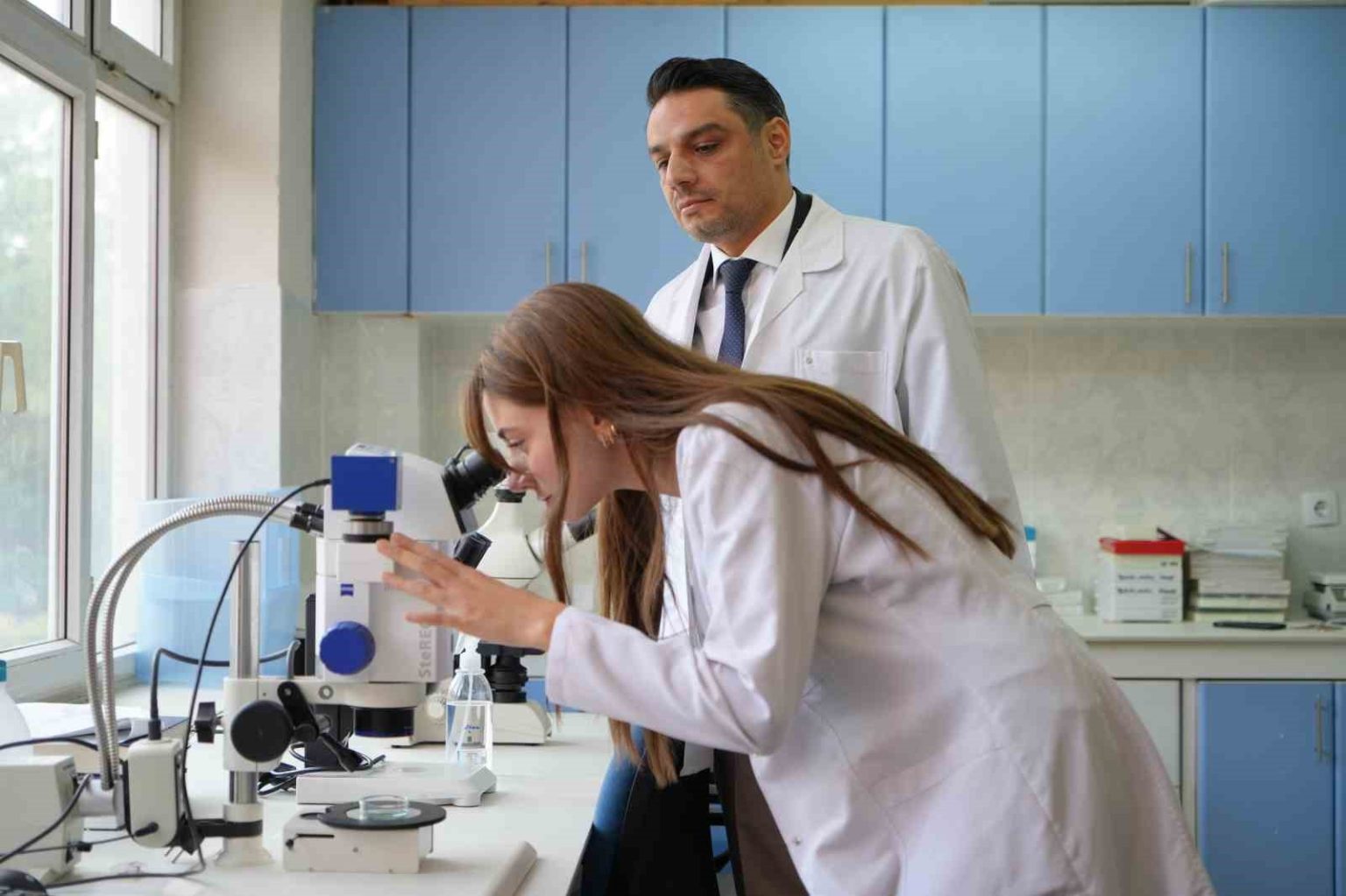 kurakligin-ardindan-sinek-istilasi-basladi