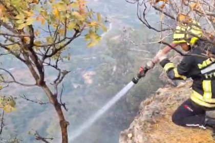 makilikte-cikan-yangin-bahcelere-ulasmadan-sonduruldu