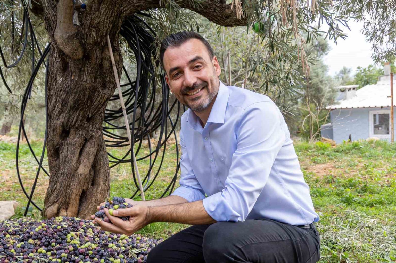 manavgat-zeytin-ve-zeytinyagi-festivalinin-ikincisi-8-kasimda-basliyor