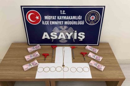mardinde-hirsizlik-operasyonu-5-supheli-yakalandi
