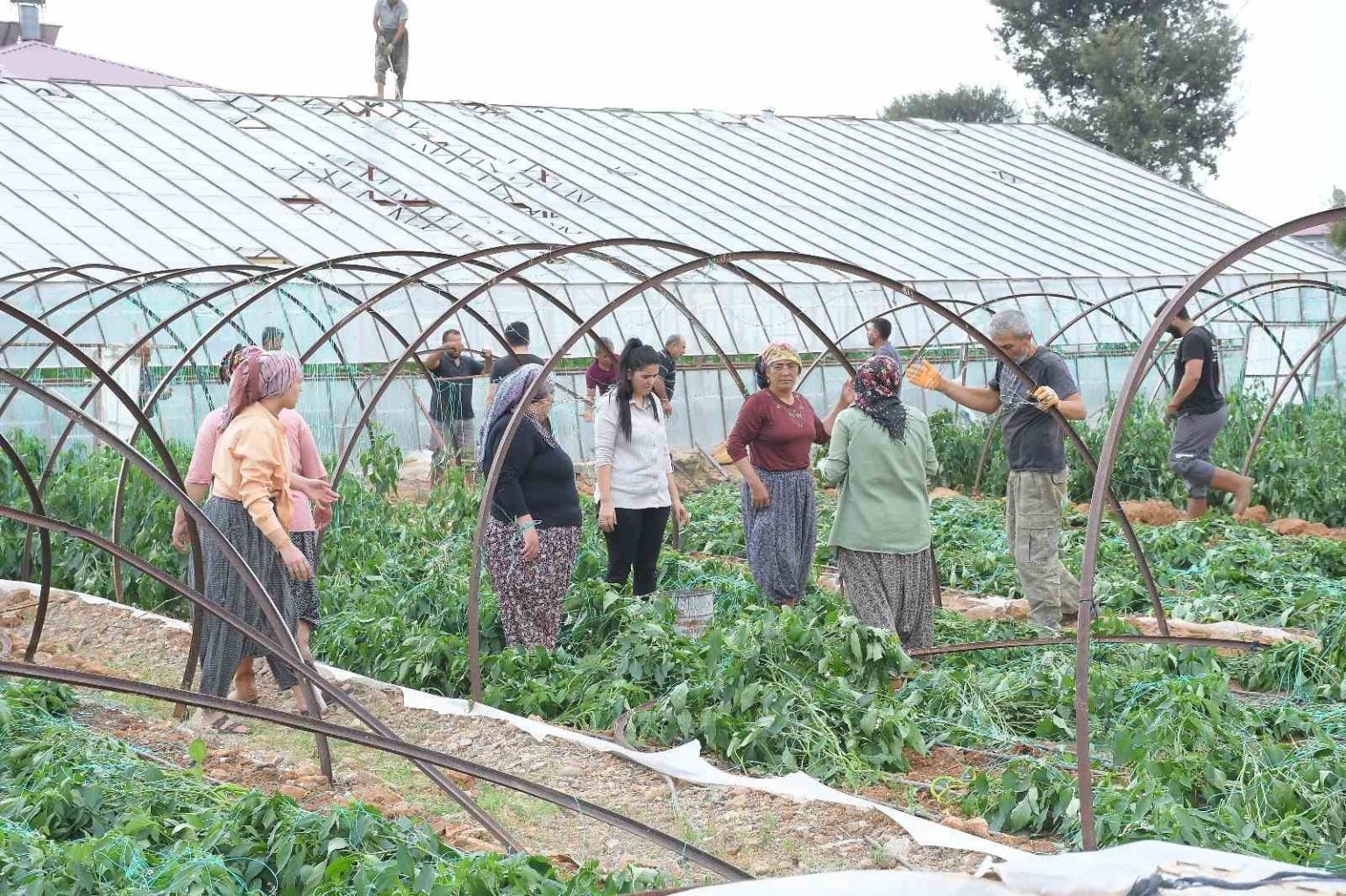 mersinde-firtina-ve-hortum-seralara-zarar-verdi