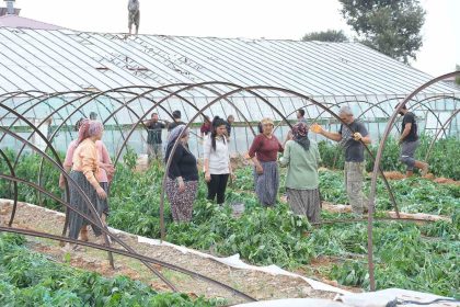 mersinde-firtina-ve-hortum-seralara-zarar-verdi