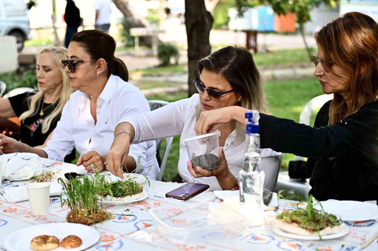 mikro-yesilliklerle-minyatur-bahceler-olusturdular