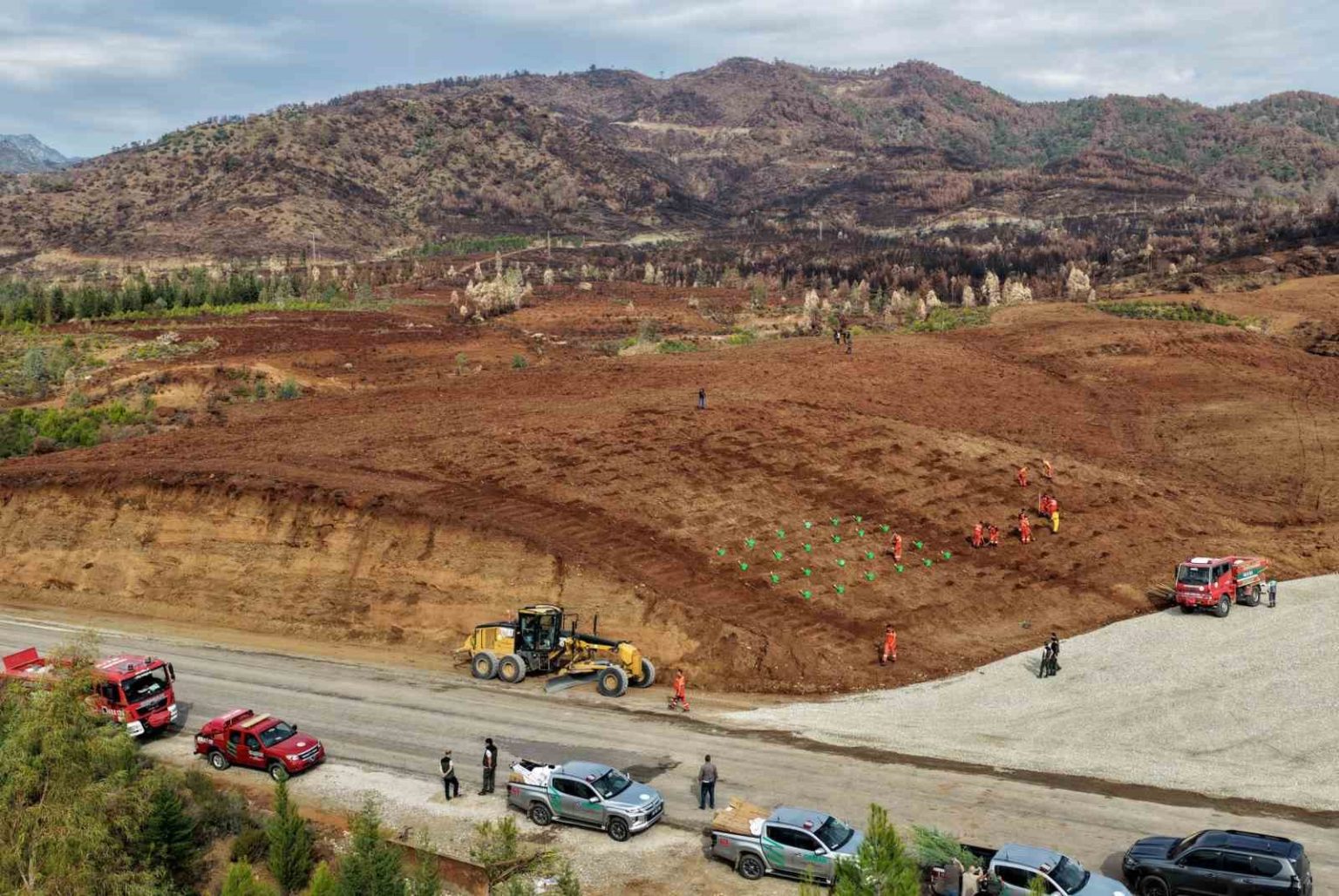 mugla-orman-bolge-mudurlugu-yesil-vatan-seferberligine-hazir