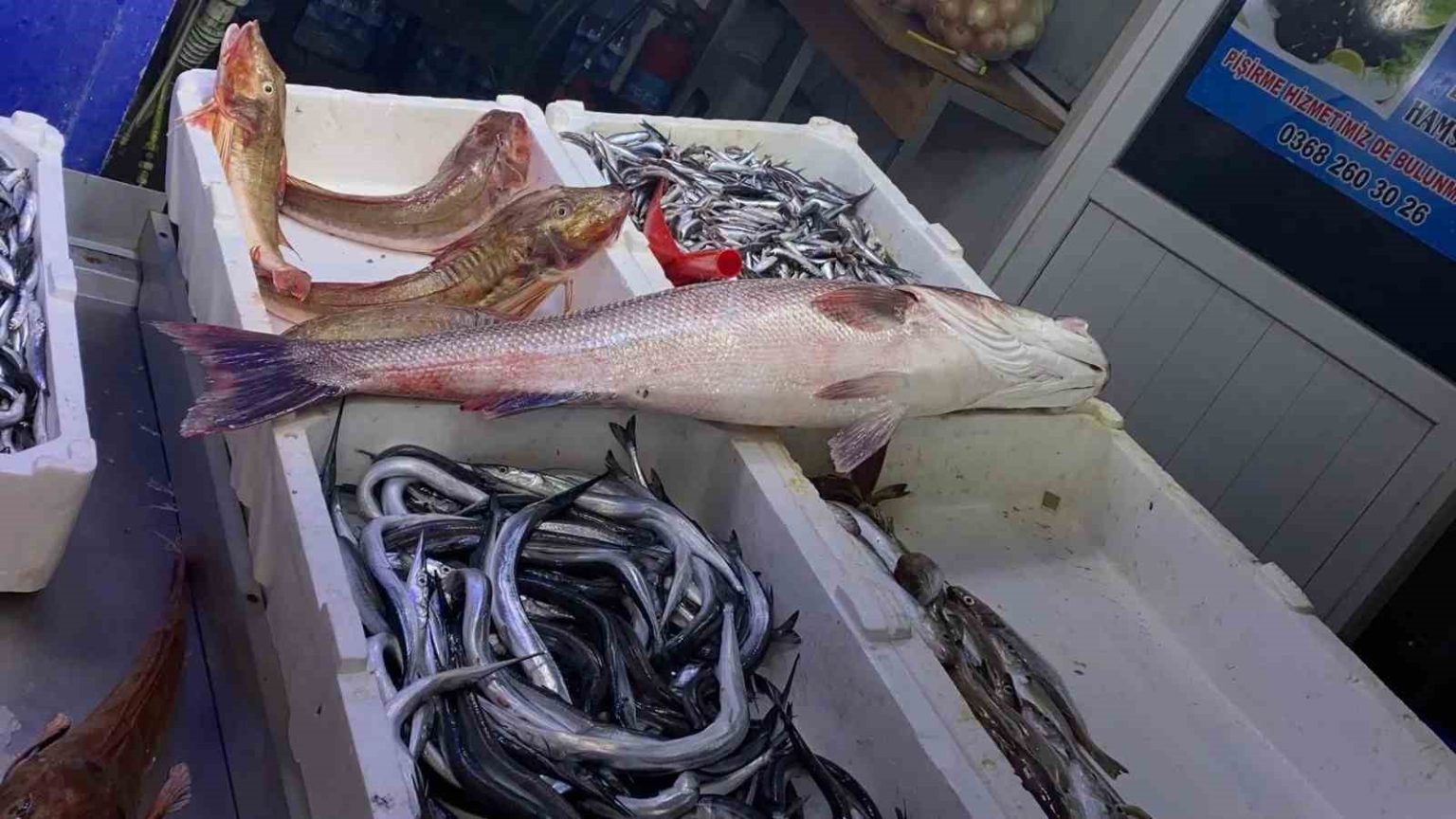 oltayla-yakalanan-deniz-levregi-9-bin-liraya-satildi