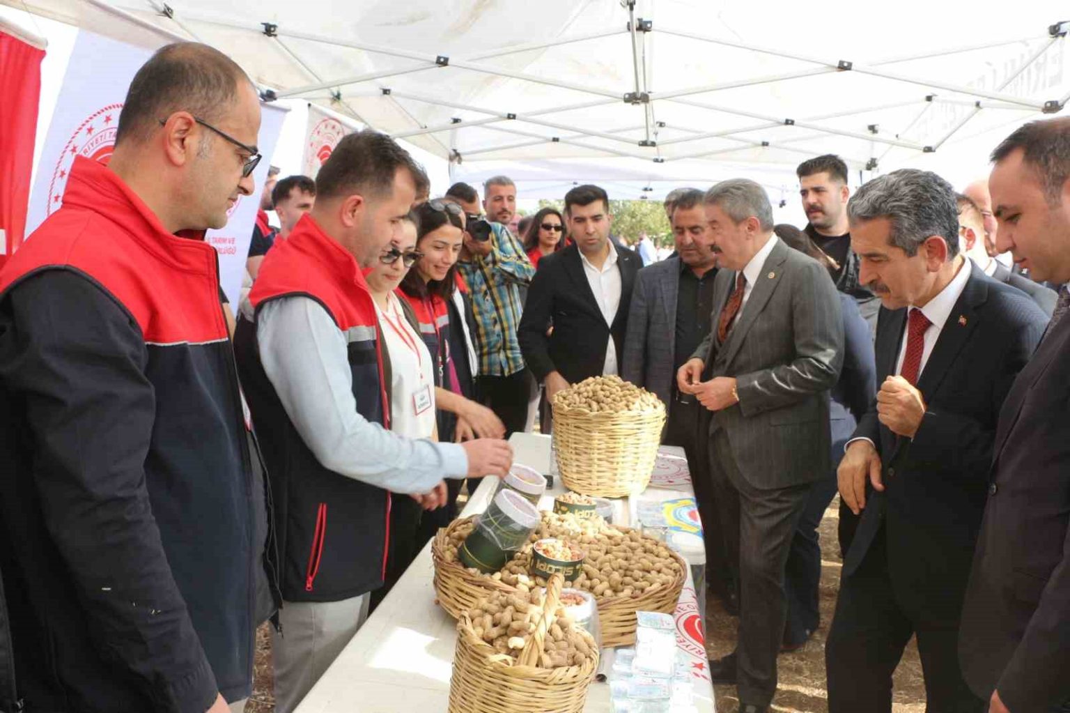 sirnakta-25-bin-ton-yer-fistigi-rekoltesi-bekleniyor