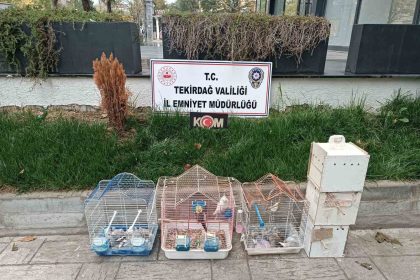 tekirdagda-yasa-disi-hayvan-uretimine-agir-ceza