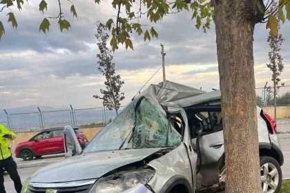 agaca-carpip-ikiye-bolunen-otomobildeki-kadin-hayatini-kaybetti