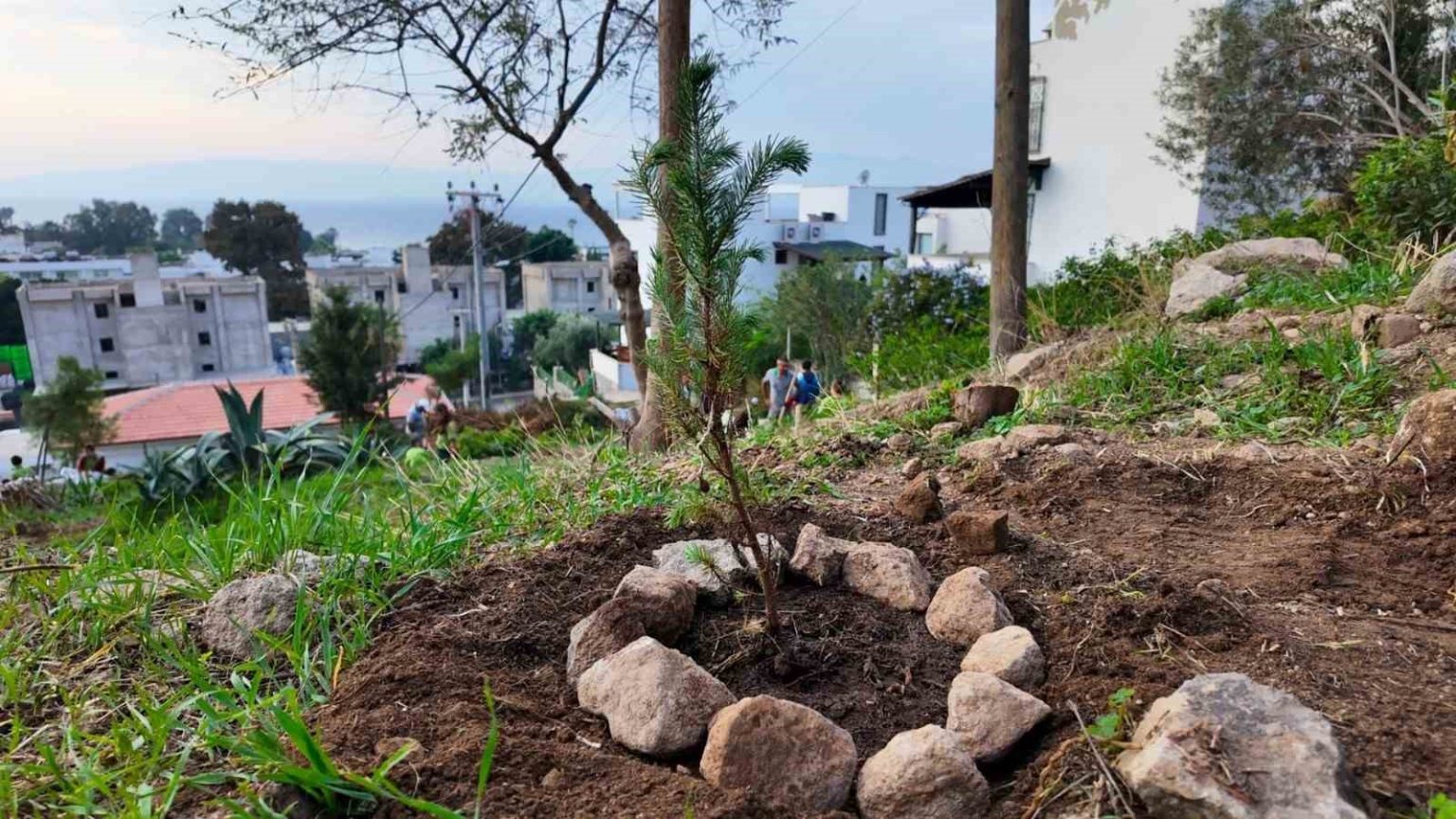 bodrum-belediyesi-cocuklari-dogayla-bulusturdu