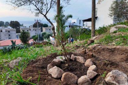 bodrum-belediyesi-cocuklari-dogayla-bulusturdu