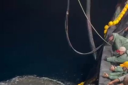 canakkalede-balikcilardan-ornek-avcilik-yavru-baliklari-denize-geri-saldi