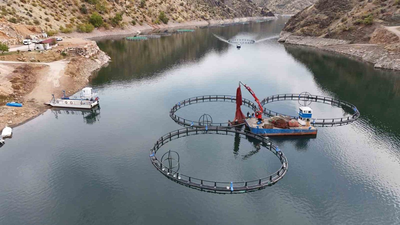 diyarbakirda-500-ton-kapasiteli-tesisten-dunyaya-mezopotamya-somonu-gonderilecek