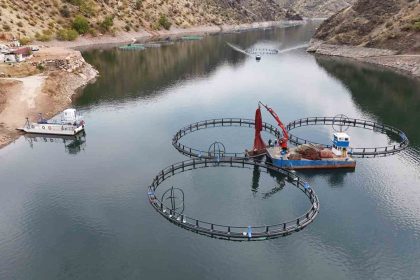 diyarbakirda-500-ton-kapasiteli-tesisten-dunyaya-mezopotamya-somonu-gonderilecek