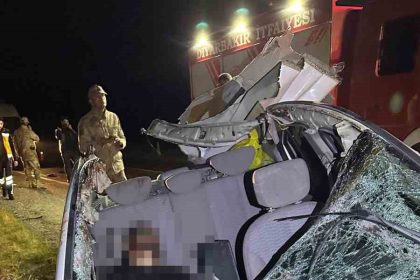 diyarbakirda-iki-otomobil-ile-at-carpisti-1-olu-7-yarali