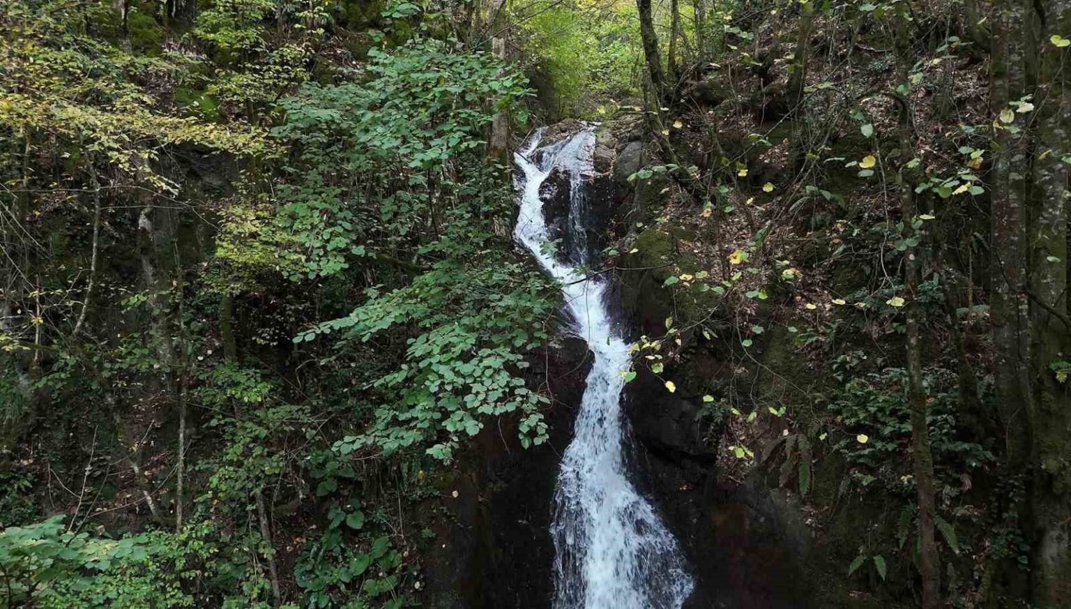 duzcenin-sakli-cenneti