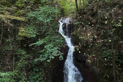 duzcenin-sakli-cenneti