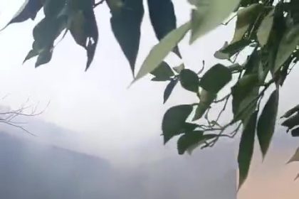 engelli-yasli-kadin-yanginda-hayatini-kaybetti