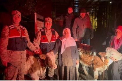 jandarma-calinan-hayvanlari-sahibine-teslim-etti