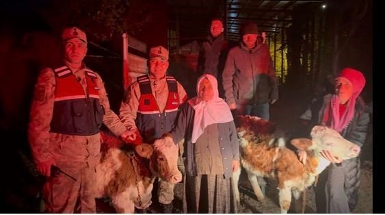 jandarma-calinan-hayvanlari-sahibine-teslim-etti