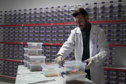 nigdeden-dunyaya-akrep-zehri-ihracati