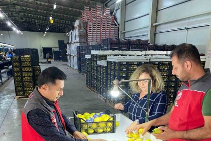 ortacada-ihracata-giden-urunlere-onay