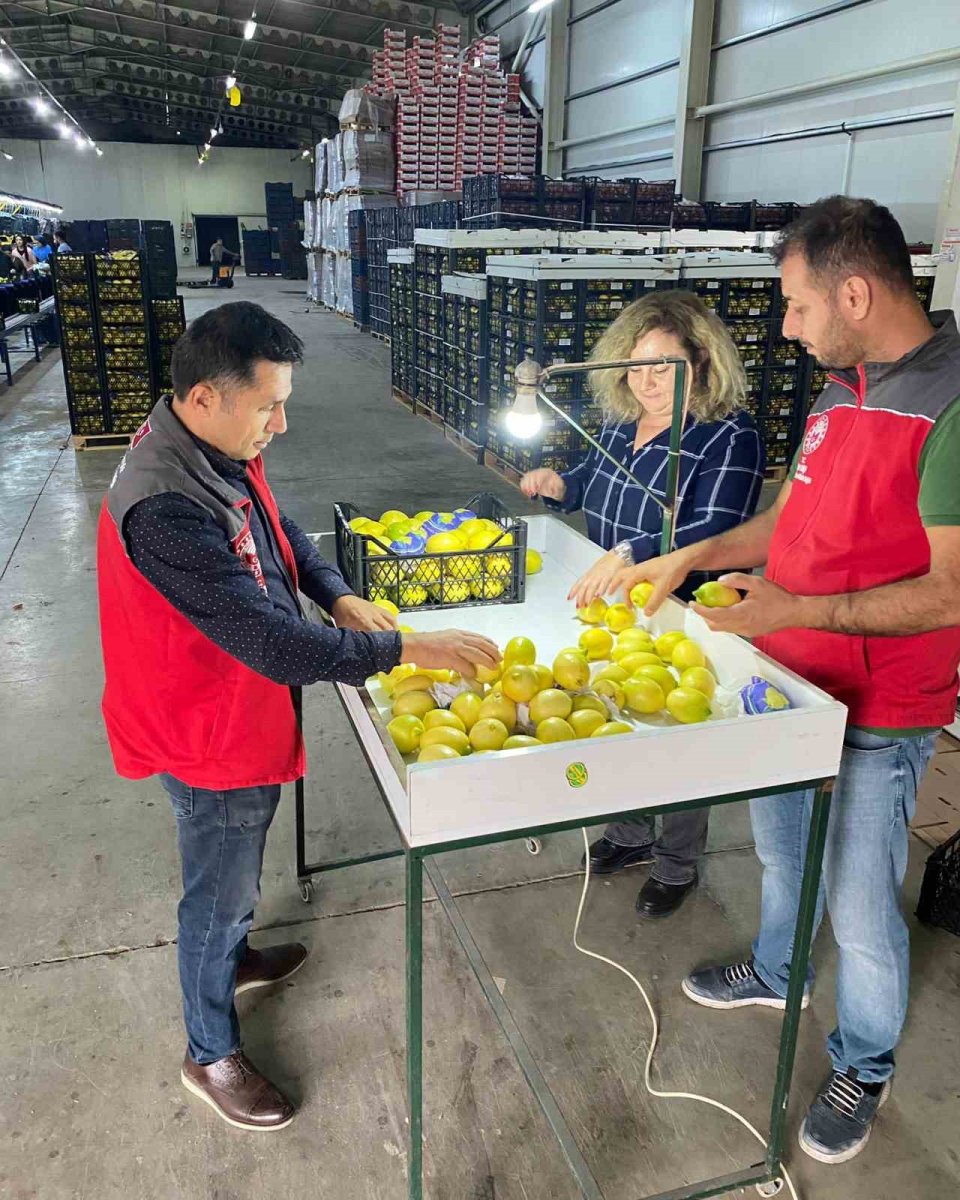 ortacada-ihracata-giden-urunlere-onay