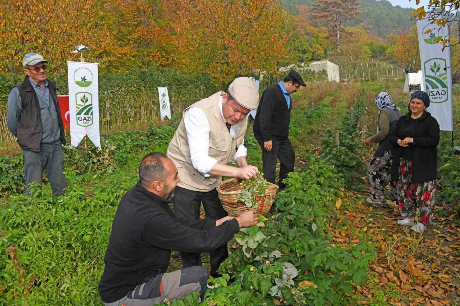osmangazide-uzumsu-meyvelerde-organik-tarim-seferberligi