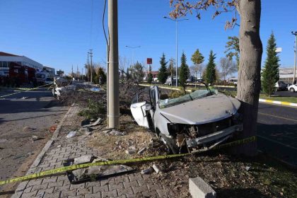 agaca-carpan-otomobil-ikiye-bolundu-2-olu-1-yarali