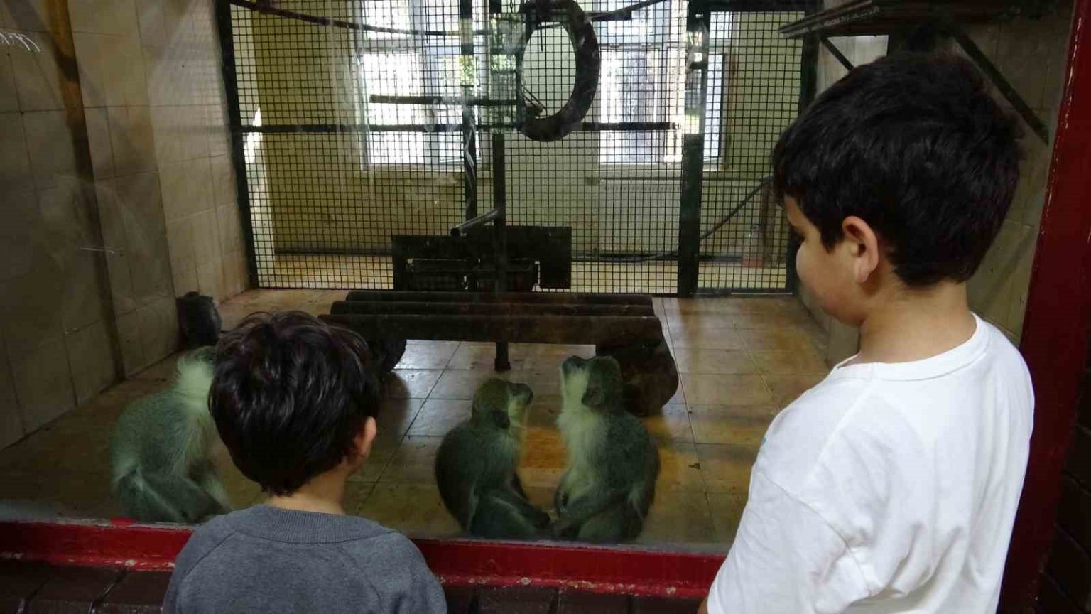 ara-tatile-cikan-ogrenciler-solugu-hayvanat-bahcesinde-aldi