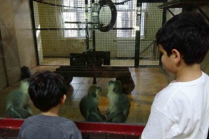 ara-tatile-cikan-ogrenciler-solugu-hayvanat-bahcesinde-aldi