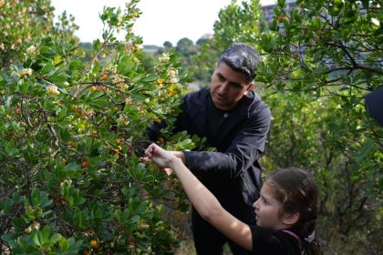 atasehirde-438-metre-yukseklikte-cilek-festivaline-akin-ettiler