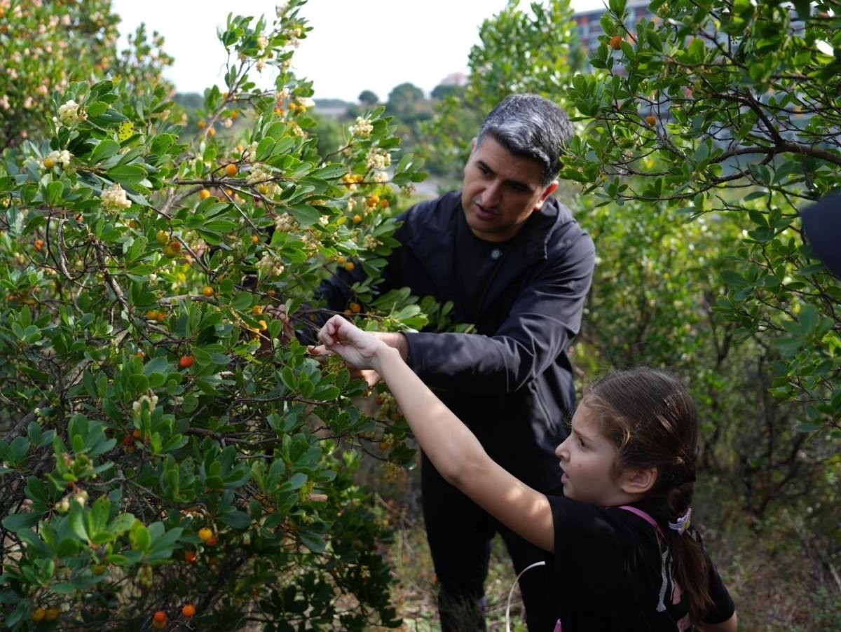 atasehirde-438-metre-yukseklikte-cilek-festivaline-akin-ettiler