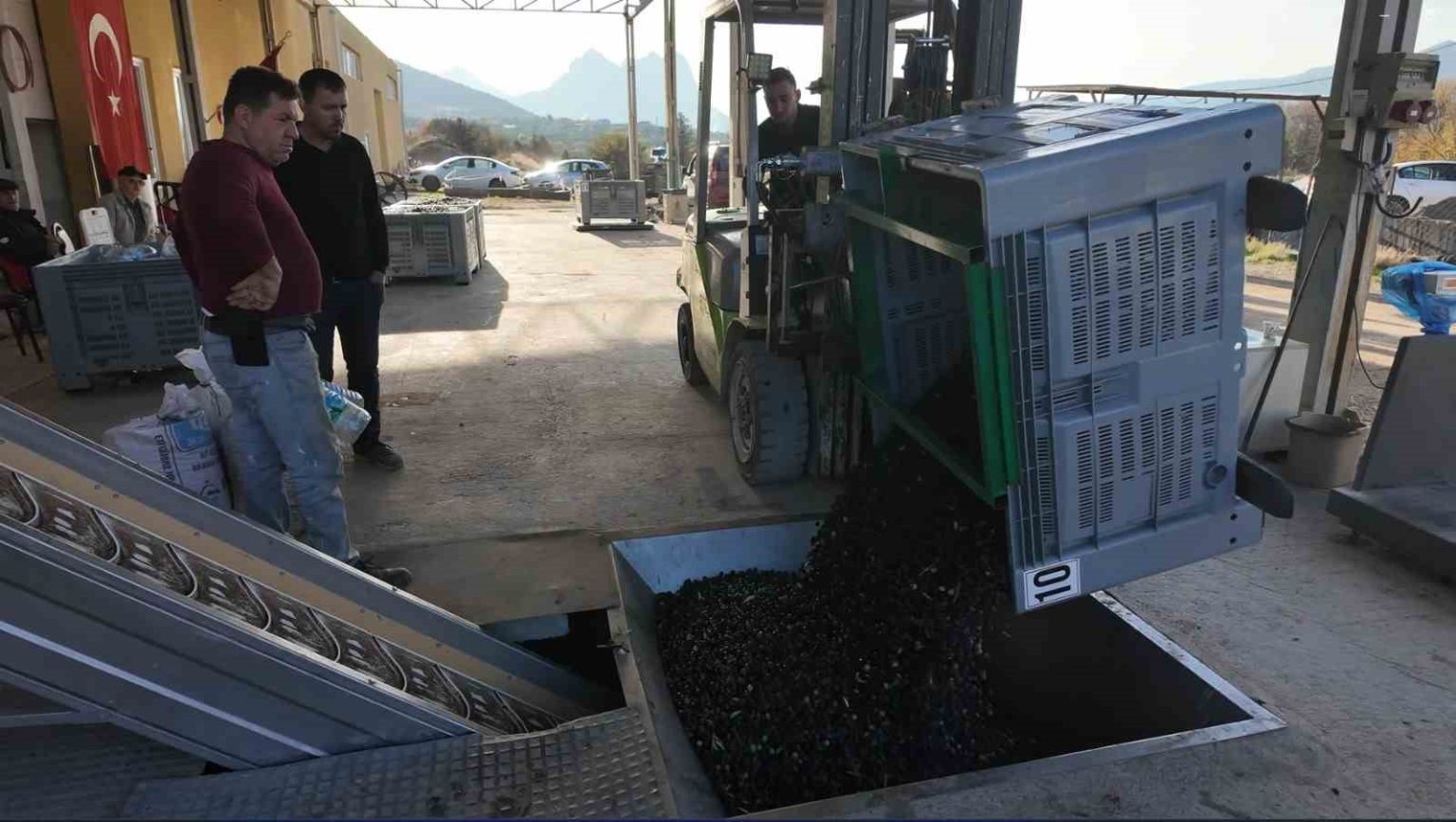 eskisehirin-akdenizinde-zeytinyaginin-soguk-sikim-yolculugu