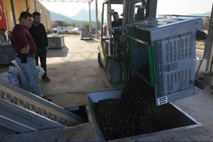 eskisehirin-akdenizinde-zeytinyaginin-soguk-sikim-yolculugu